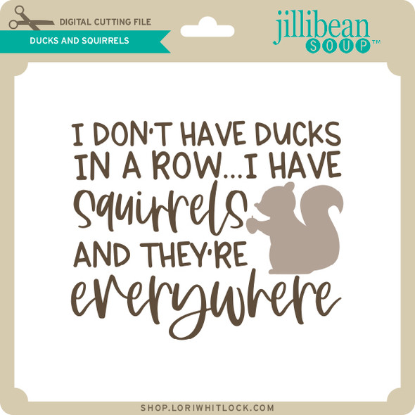 Ducks and Squirrels