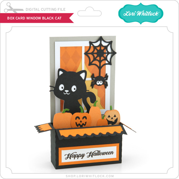 Box Card Window Black Cat