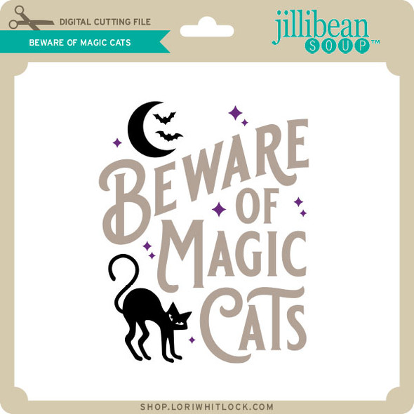 Beware of Magic Cats