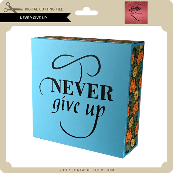 Never Give Up Block Quote