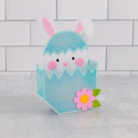 Box Card  Cracked Easter Egg Bunny