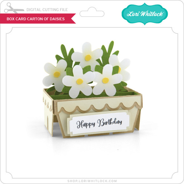 Box Card Carton of Daisies