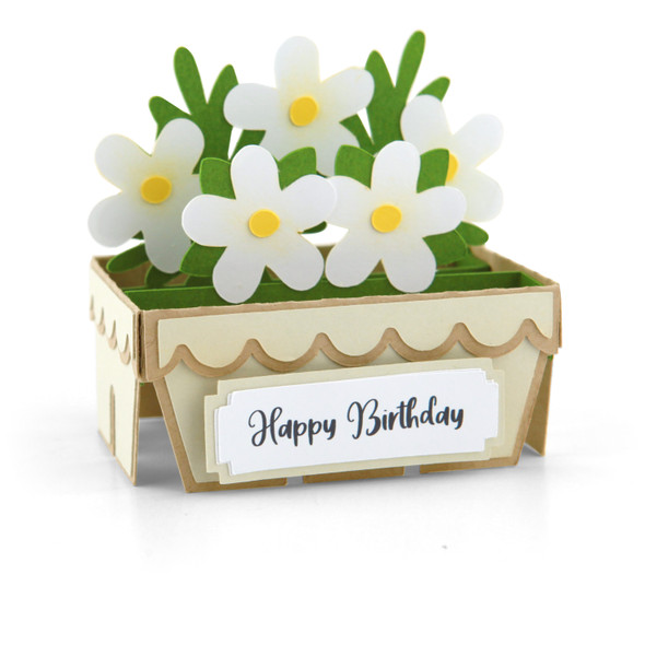 Box Card Carton of Daisies