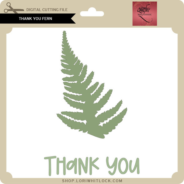 Thank You Fern