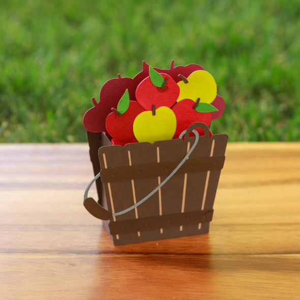 Box Card Bushel of Apples