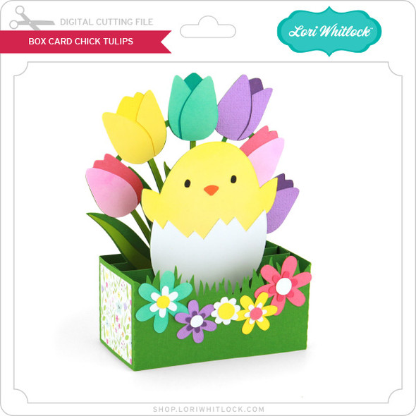 Box Card Chick Tulips