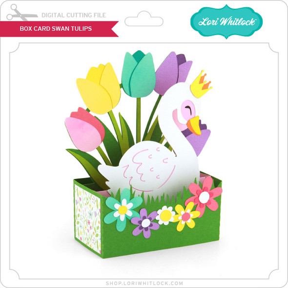 Box Card Swan Tulips
