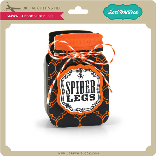 Mason Jar Box Spider Legs