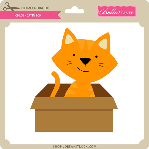 Chloe - Cat in Box