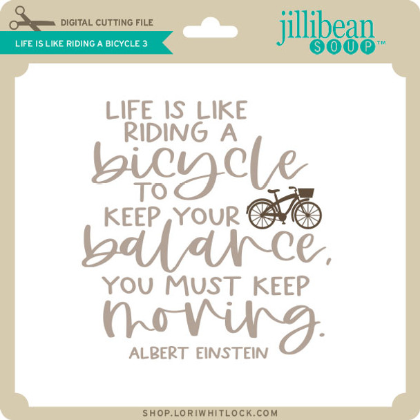 Life is Like Riding a Bicycle 3