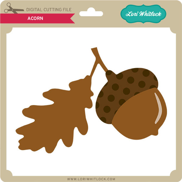 Acorn