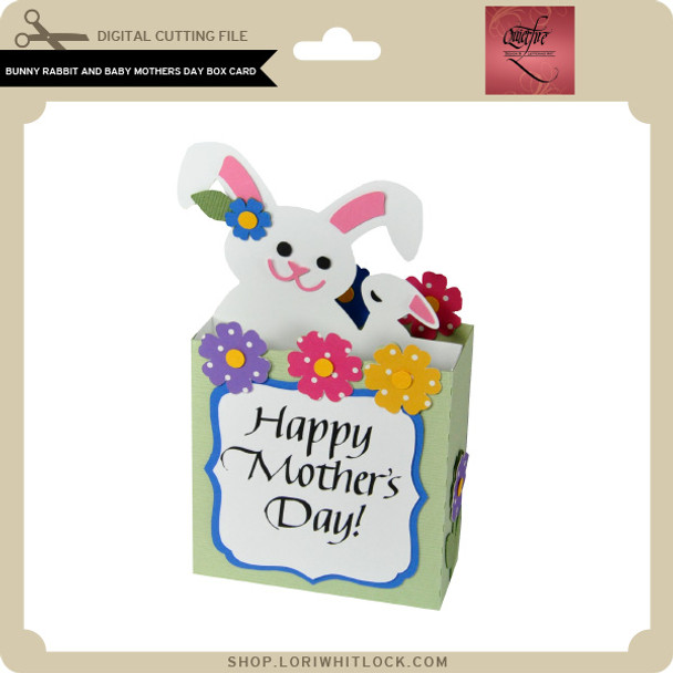 Bunny Rabbit and Baby Mothers Day Box Card