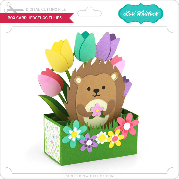 Box Card Hedgehog Tulips