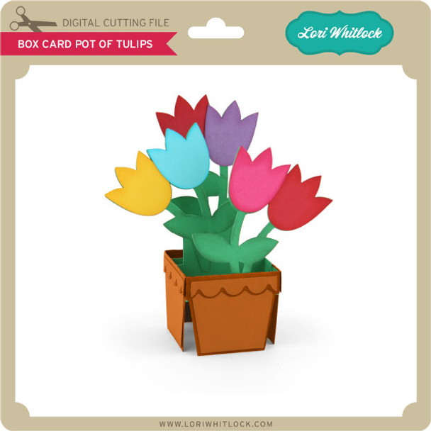 Box Card Pot of Tulips