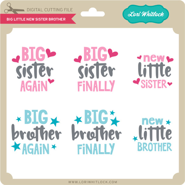 Big Little New Sister Brother