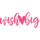 Wish Big
