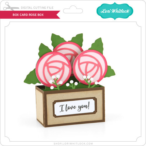 Box Card Flour Canister - Lori Whitlock's SVG Shop