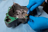 Gasket Scraper