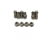 Yamaha Banshee Titanium Heel Guard Bolt Kit