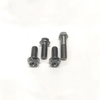 Yamaha Banshee Footpeg Bolts (RaceTech Titanium Footpegs)