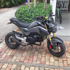 (2017-20) Honda GROM Hindle Evo Megaphone Full System