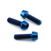 Titanium Brake & Clutch Lever Perch Pinch Bolt Kit