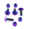 Titanium License plate Bolt Kit