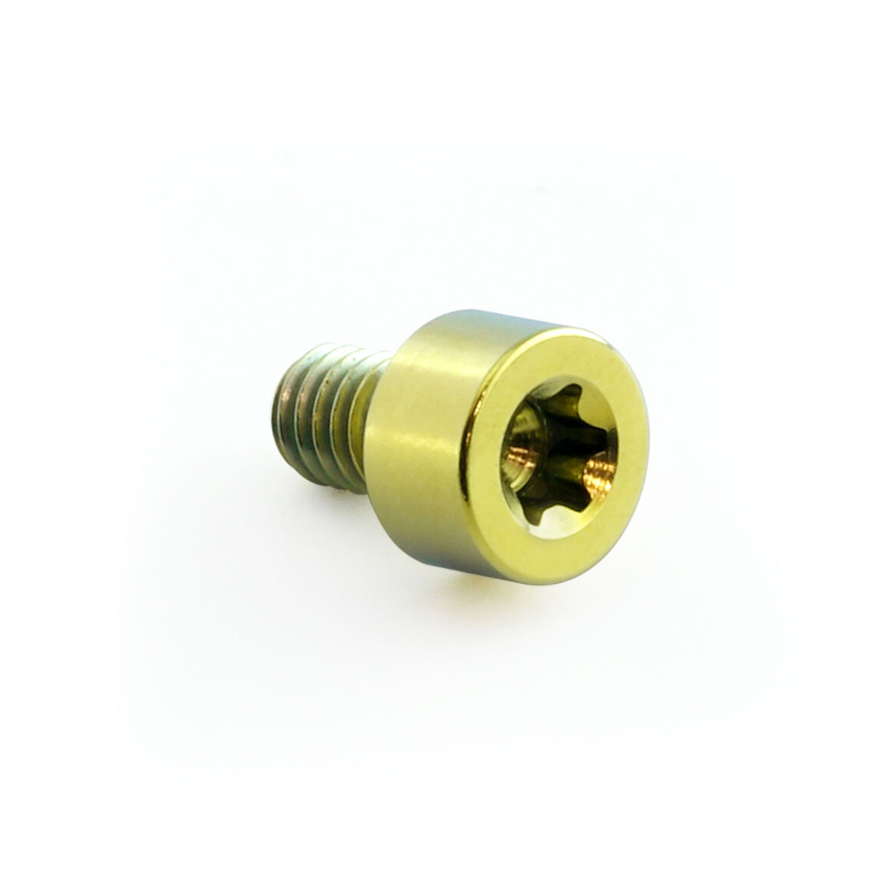 Titanium Parallel Head Socket Cap Bolt M4x(0.70mm)x6mm T20 Torx Drive