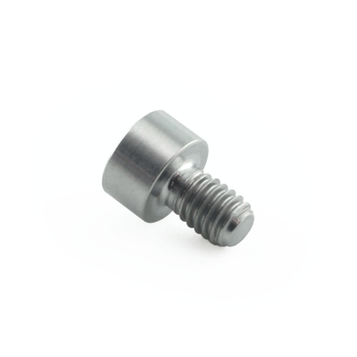 Titanium Parallel Head Socket Cap Bolt M4x(0.70mm)x6mm T20 Torx Drive