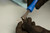 U-Joint Clip Installer