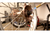 Wheel Bearing Remover 8 Piece Metric Set