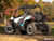 CAN-AM MAVERICK TRAIL LOW PROFILE FENDER FLARES