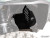 CAN-AM COMMANDER 1000 INNER FENDER GUARDS