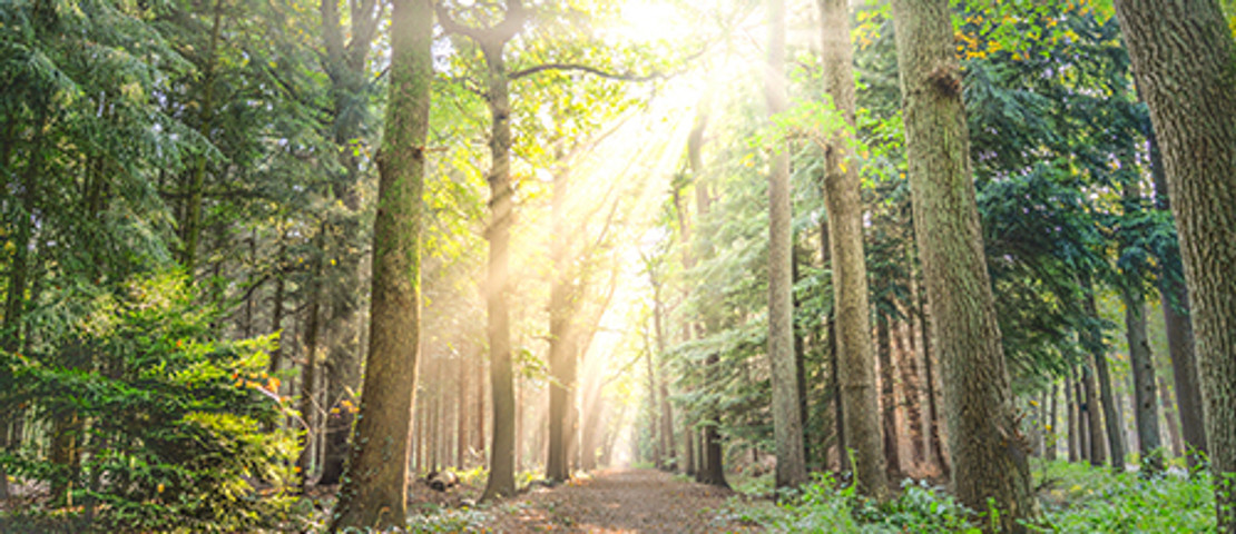 June 2018: Month of the Great Outdoors June 2018: Month of the Great Outdoors
