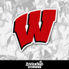 Wisconsin Badgers Vinyl Sticker
