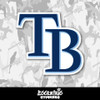 Tampa Bay Rays Vinyl Sticker