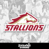 Birmingham Stallions Vinyl Sticker