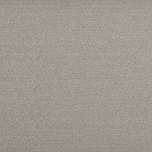 Topaz Light Grey colour