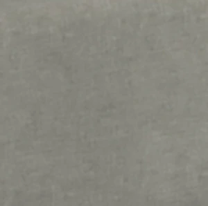 Light Grey colour