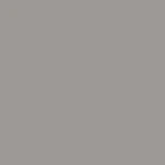 Darwin Silver colour