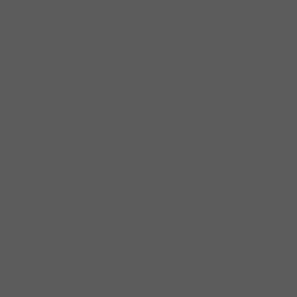 Sierra Silver colour