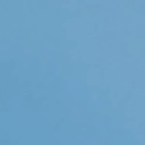 Light Blue colour