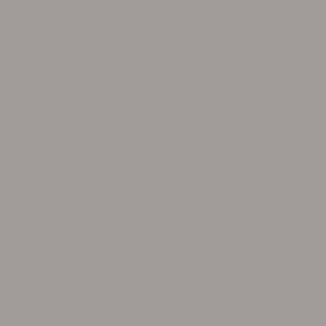 Salt Grey colour