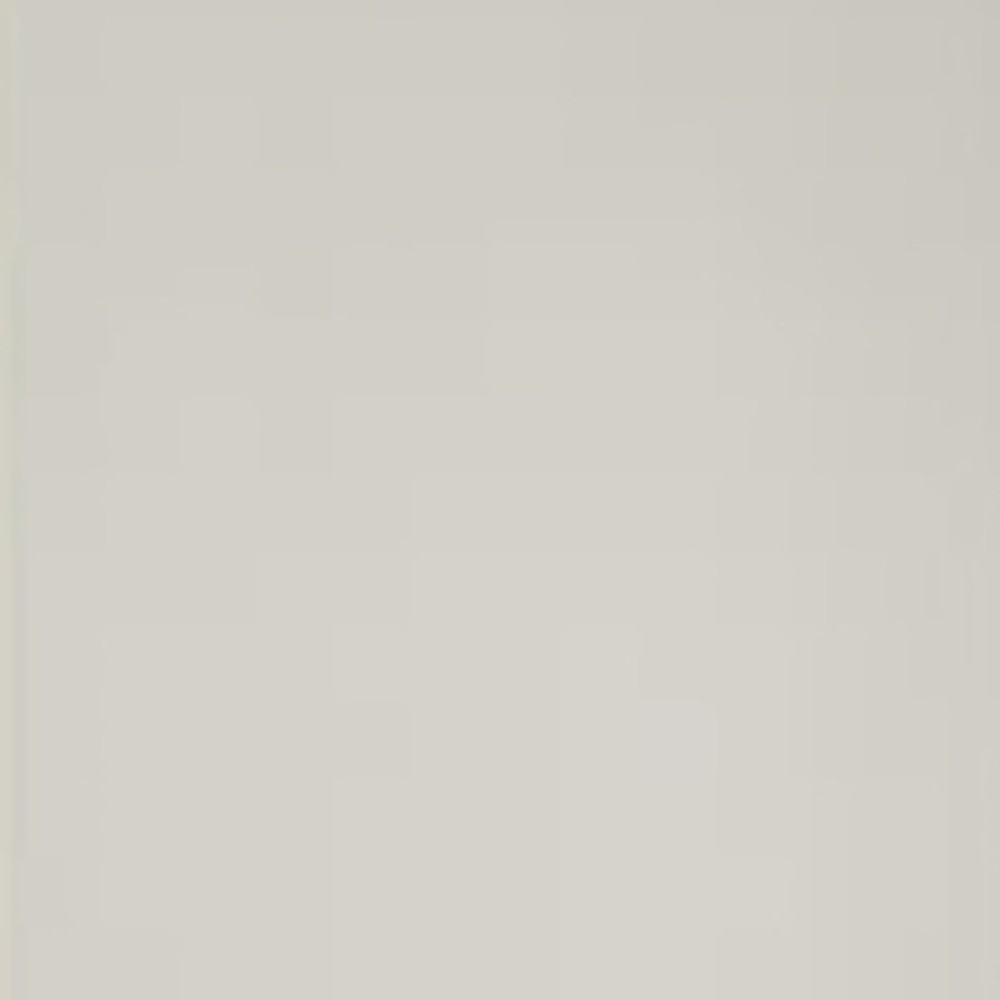 Ivory colour