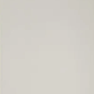 Ivory colour
