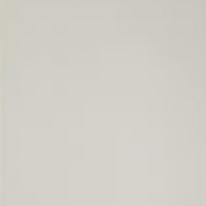 Ivory colour