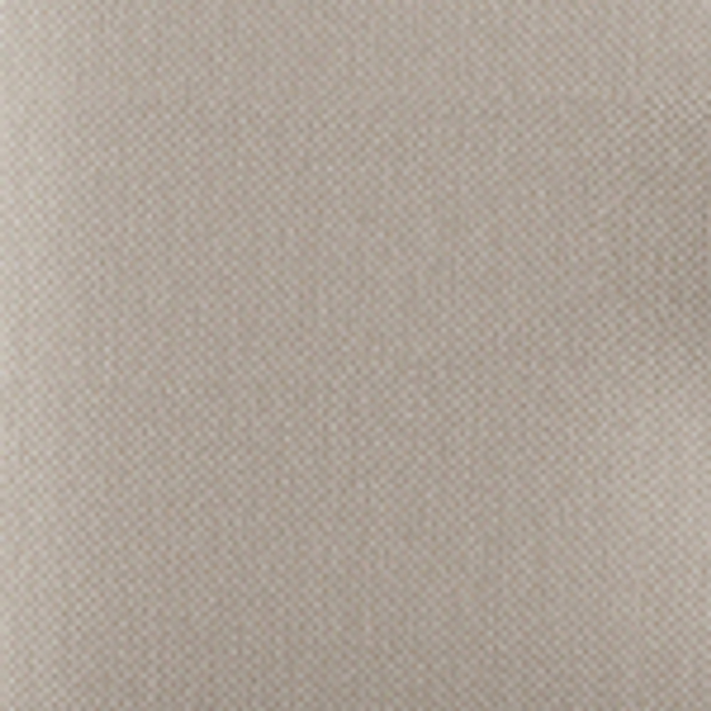 Camel Beige colour