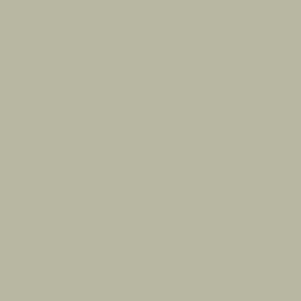 Sage Green colour