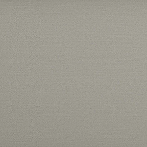 Topaz Light Grey colour
