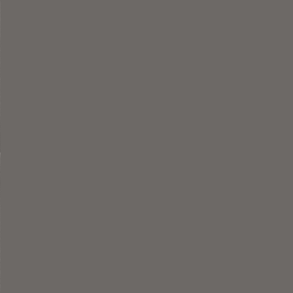 Ansell Koala colour